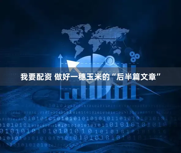 我要配资 做好一穗玉米的“后半篇文章”