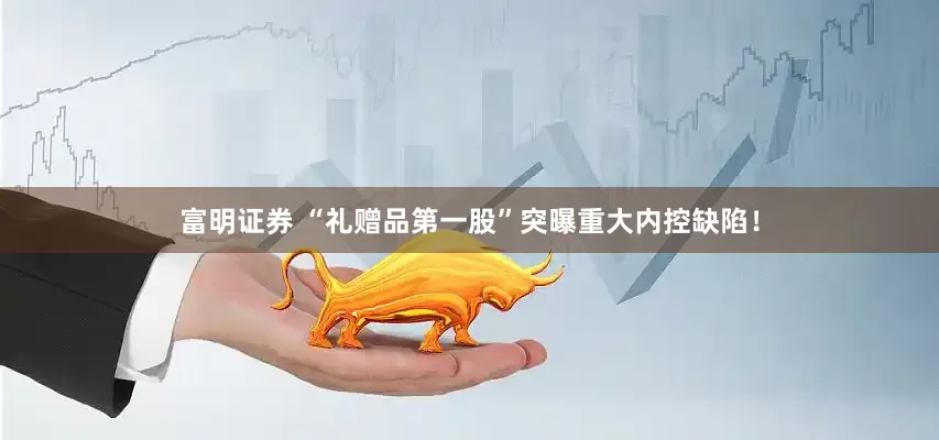 富明证券 “礼赠品第一股”突曝重大内控缺陷！