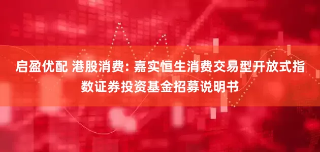 启盈优配 港股消费: 嘉实恒生消费交易型开放式指数证券投资基金招募说明书